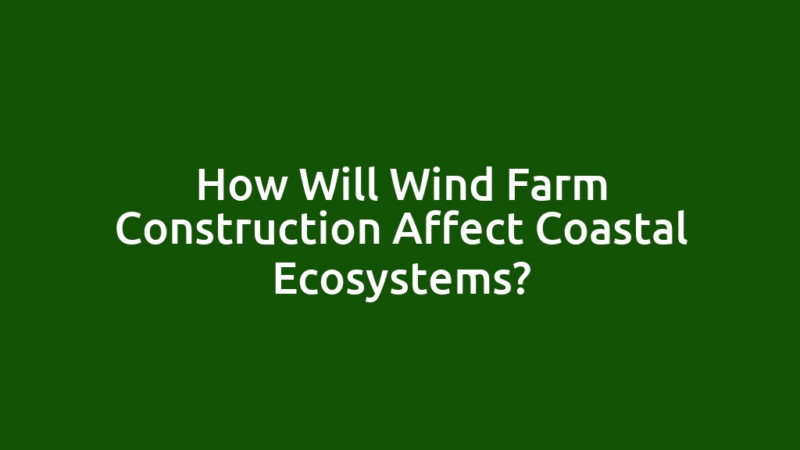 How Will Wind Farm Construction Affect Coastal Ecosystems?