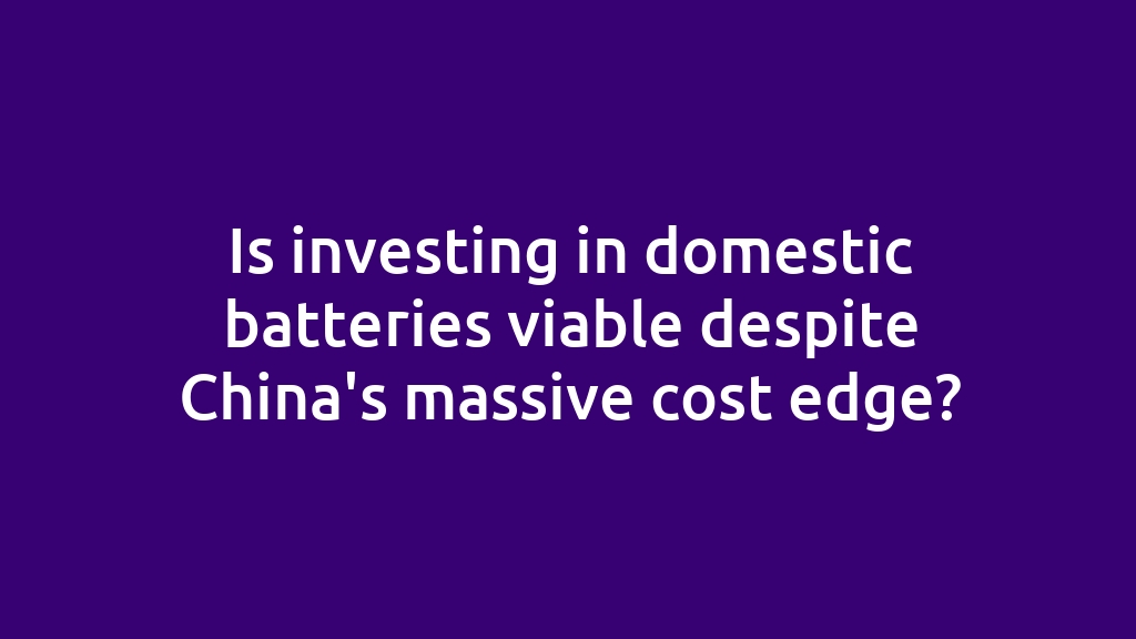 Is investing in domestic batteries viable despite China's massive cost edge?