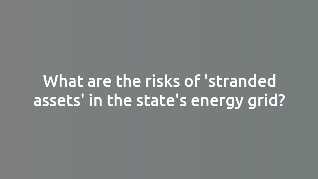 What are the risks of 'stranded assets' in the state's energy grid?