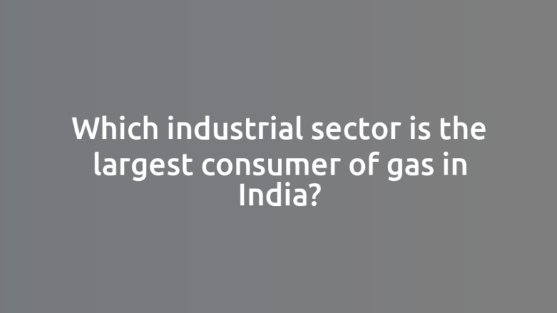 Which industrial sector is the largest consumer of gas in India?