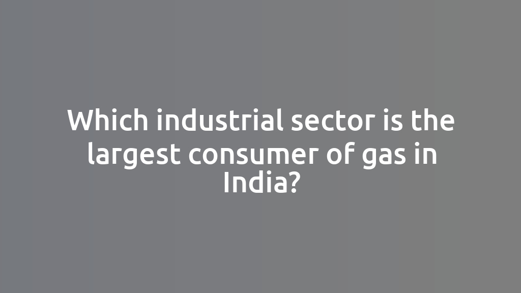 Which industrial sector is the largest consumer of gas in India?