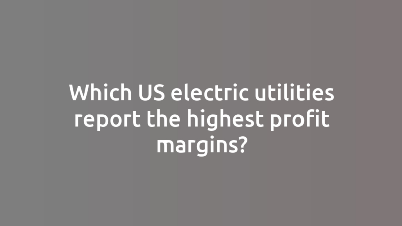 Which US electric utilities report the highest profit margins?