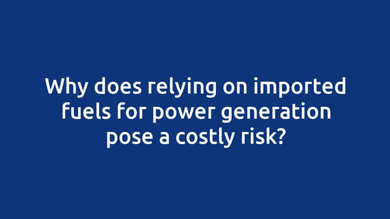 Why does relying on imported fuels for power generation pose a costly risk?