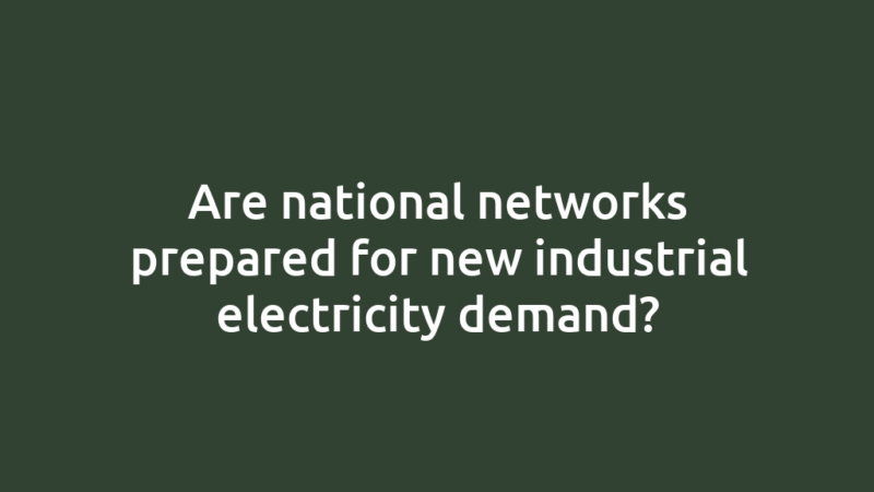 Are national networks prepared for new industrial electricity demand?