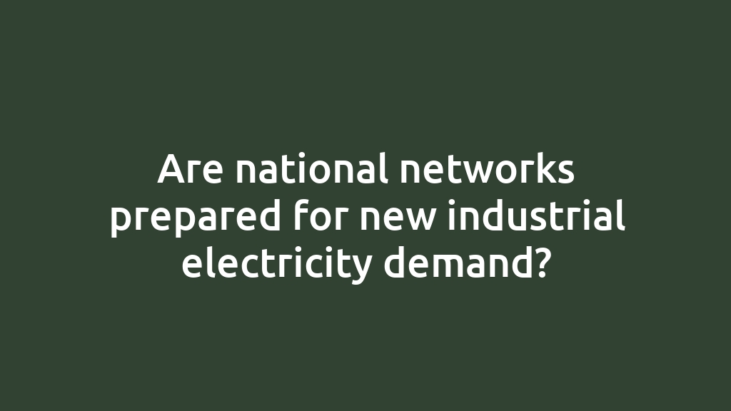 Are national networks prepared for new industrial electricity demand?