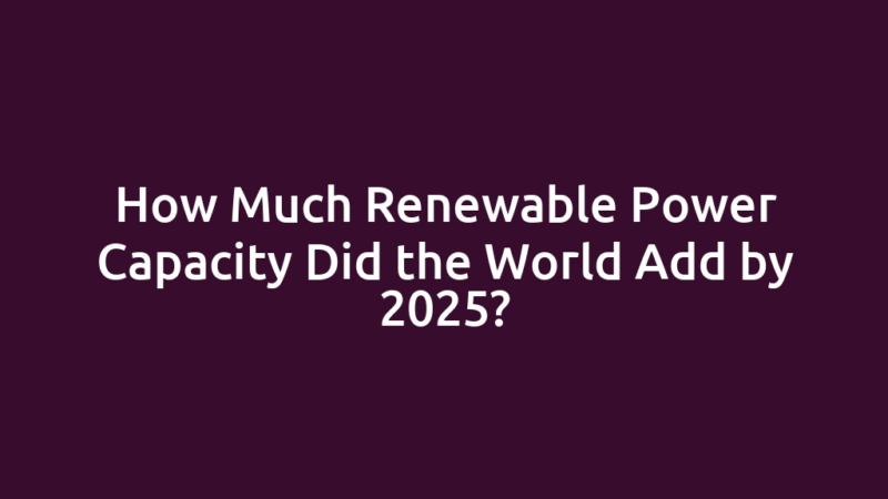 How Much Renewable Power Capacity Did the World Add by 2025?