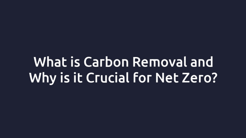 What is Carbon Removal and Why is it Crucial for Net Zero?