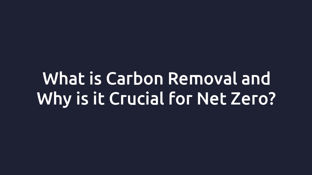 What is Carbon Removal and Why is it Crucial for Net Zero?