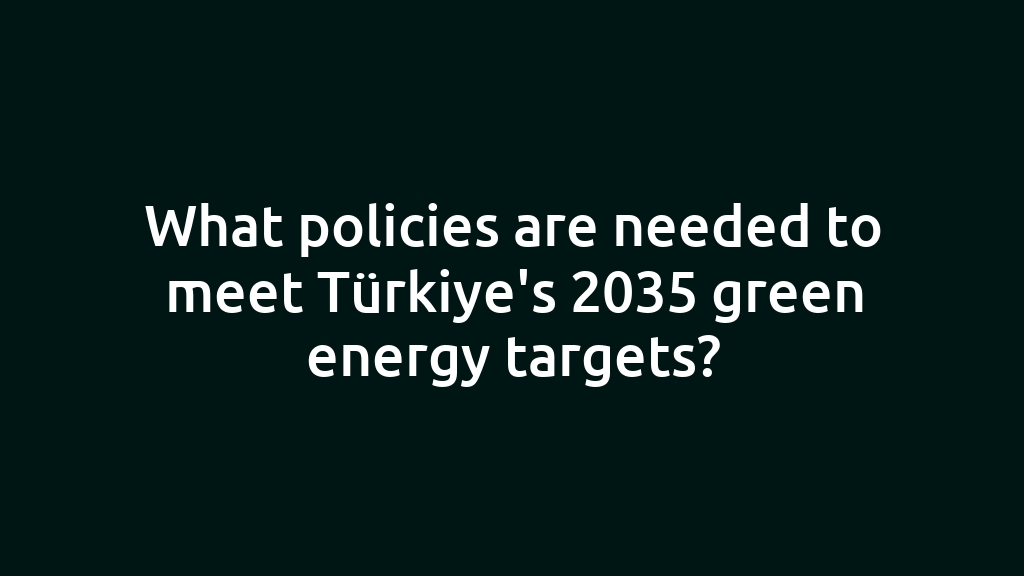 What policies are needed to meet Türkiye's 2035 green energy targets?