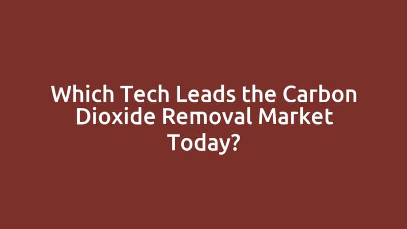 Which Tech Leads the Carbon Dioxide Removal Market Today?