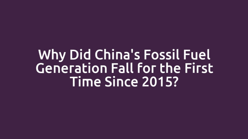 Why Did China's Fossil Fuel Generation Fall for the First Time Since 2015?