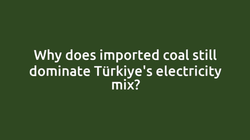 Why does imported coal still dominate Türkiye's electricity mix?